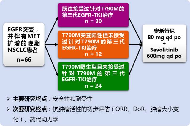 新澳門最新開獎結果今天,深入執行方案設計_挑戰版14.603