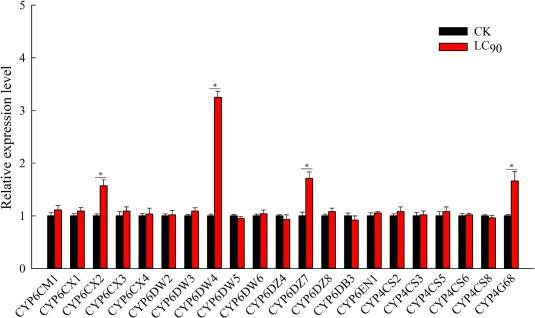 2024新澳資料大全免費(fèi),時(shí)代資料解釋落實(shí)_專屬版42.209