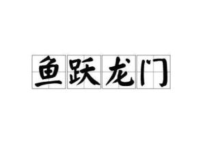 澳門最精準(zhǔn)正最精準(zhǔn)龍門蠶,詮釋解析落實(shí)_P版52.717