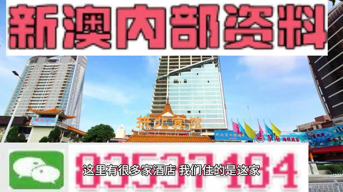 2024新澳最精準(zhǔn)資料,廣泛的解釋落實(shí)方法分析_豪華款43.366