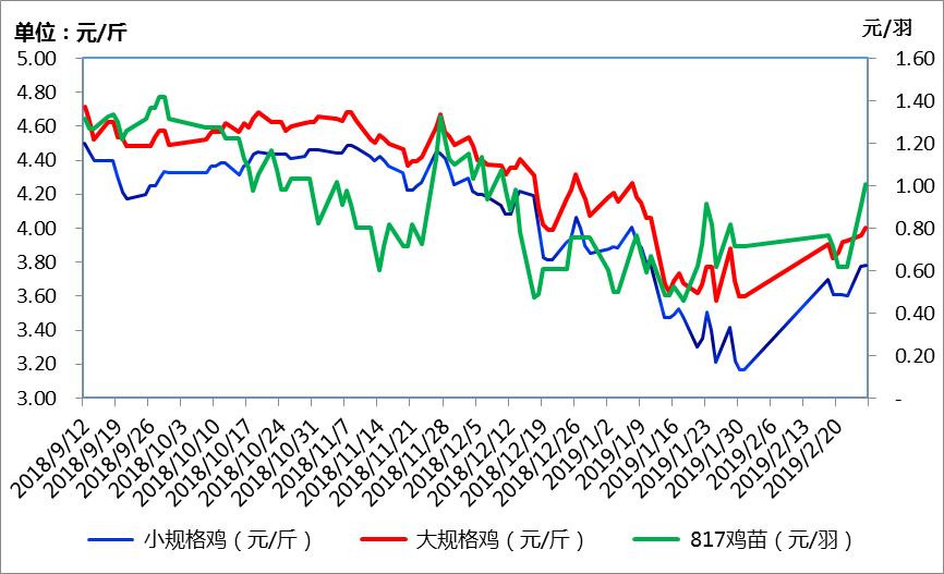 最新肉雞價格走勢動態分析