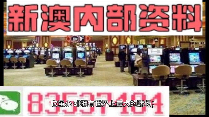 2024新澳精準正版資料,動態調整策略執行_V版14.773