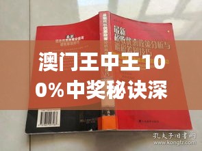 新澳門王中王100%期期中,實地方案驗證_iShop92.372