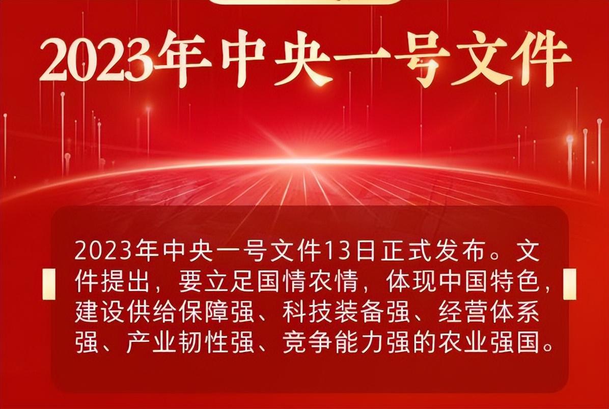 中央最新文件引領(lǐng)新時代發(fā)展，助推全面進步新篇章