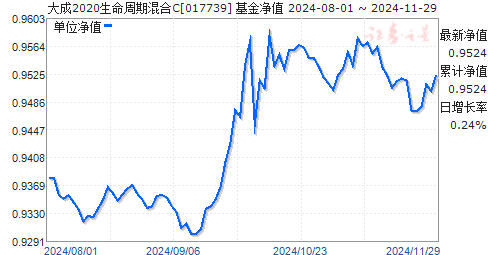 大成2020最新凈值深度解析及前景展望