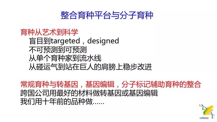 新澳精準資料免費提供濠江論壇,標準化流程評估_挑戰版90.504