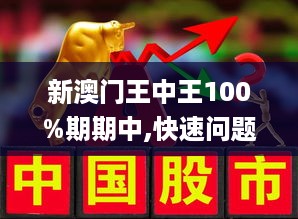 新澳門王中王100%期期中,動態(tài)調整策略執(zhí)行_mShop42.999