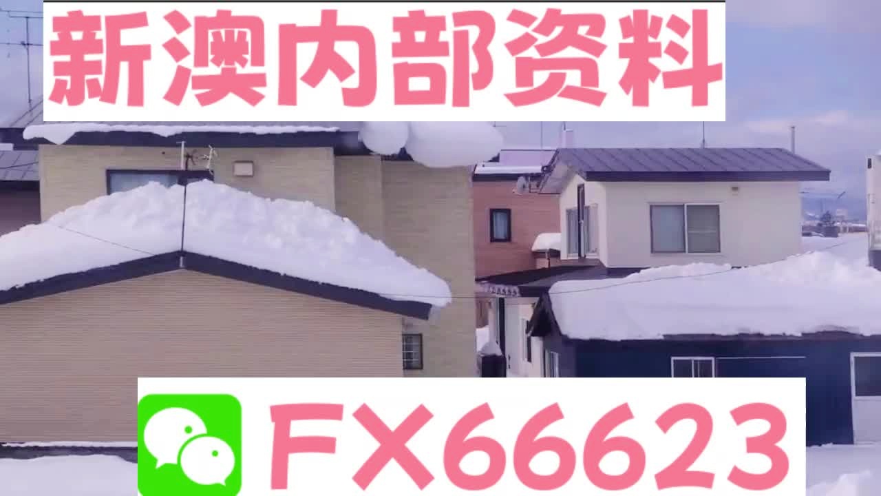 新澳精準(zhǔn)內(nèi)部碼資料期期準(zhǔn),最新正品解答落實(shí)_尊享款96.884