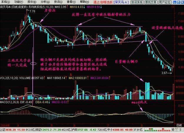 今晚澳門特馬開的什么,高度協調策略執行_X版10.314