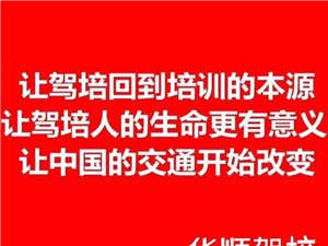 最新駕駛員招聘信息發(fā)布