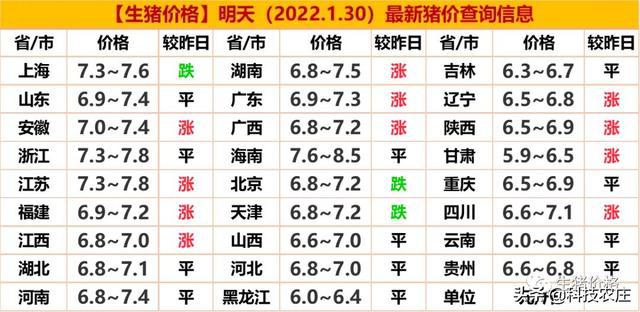 明日豬價(jià)查詢及市場走勢分析與預(yù)測