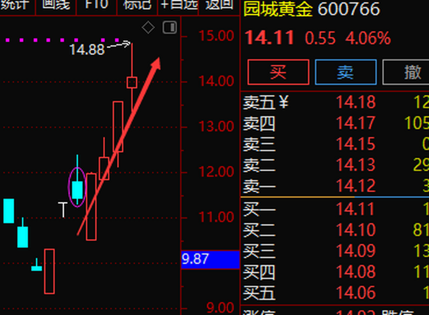 園城黃金最新消息深度解讀