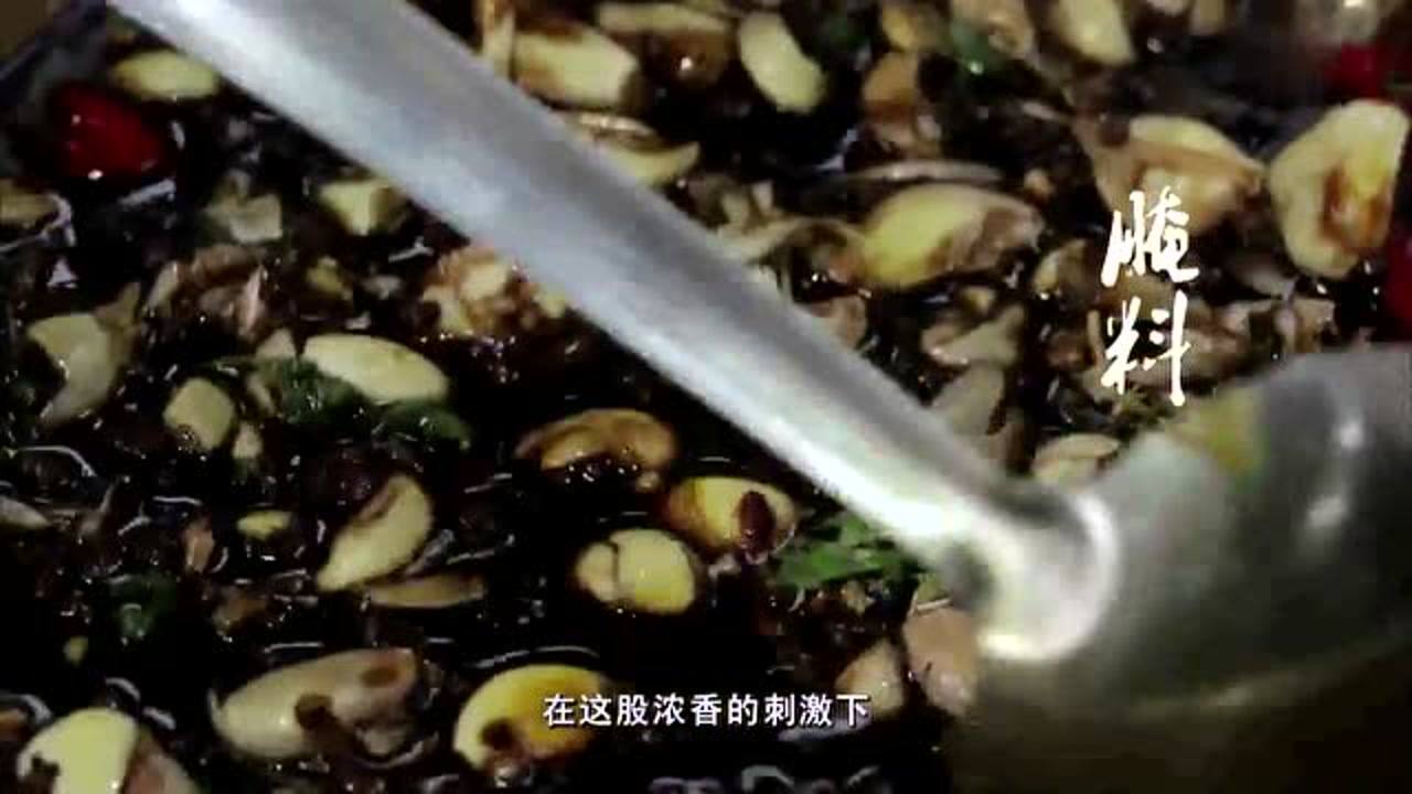 味覺革命，探索最新美食之旅