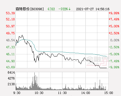 森特股份最新消息綜述，動態更新與深度解析