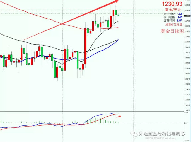 外匯黃金走勢最新解讀，三金因素深度剖析與趨勢展望